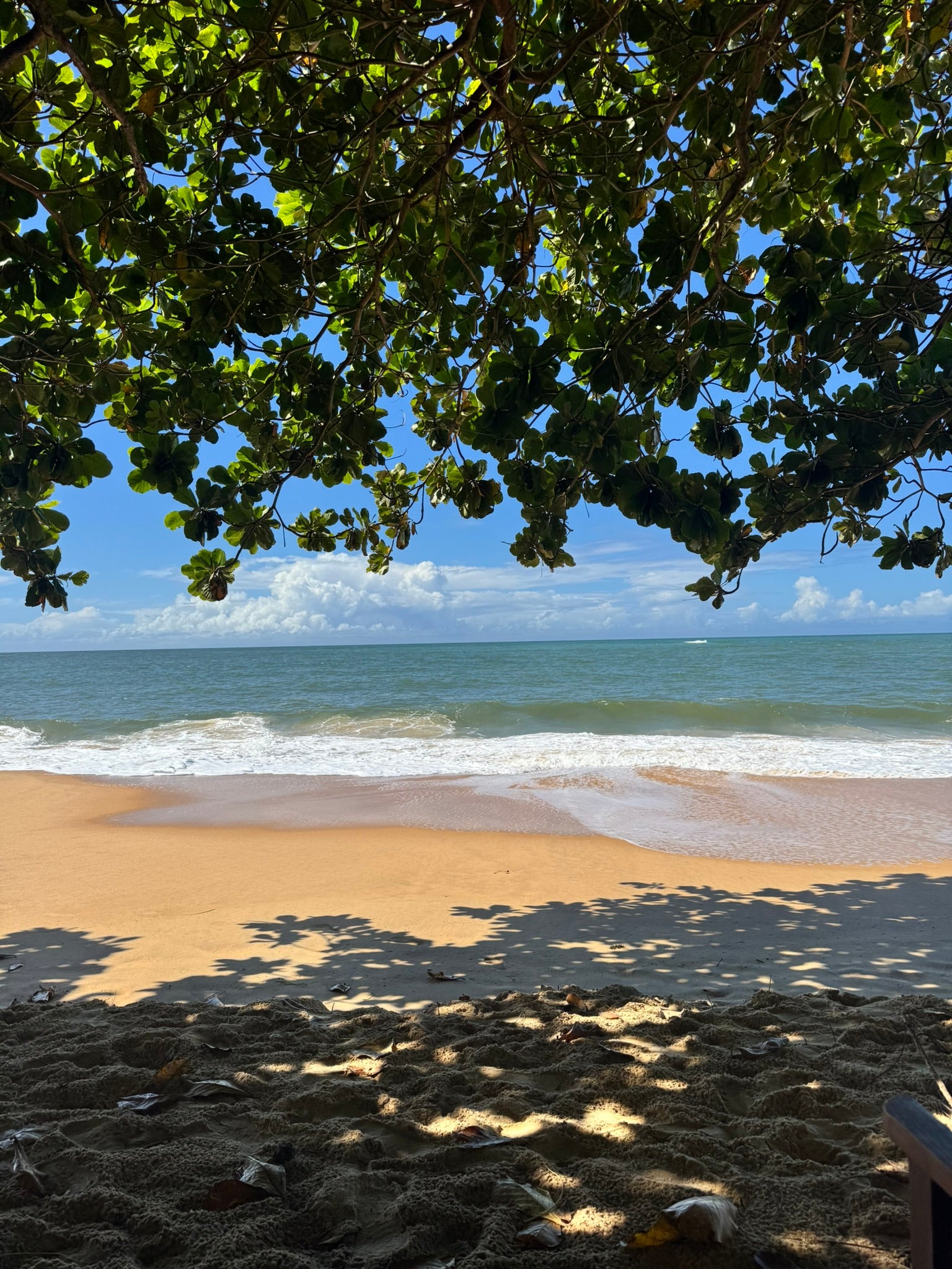 Descubra Porto Seguro sem gastar uma fortuna